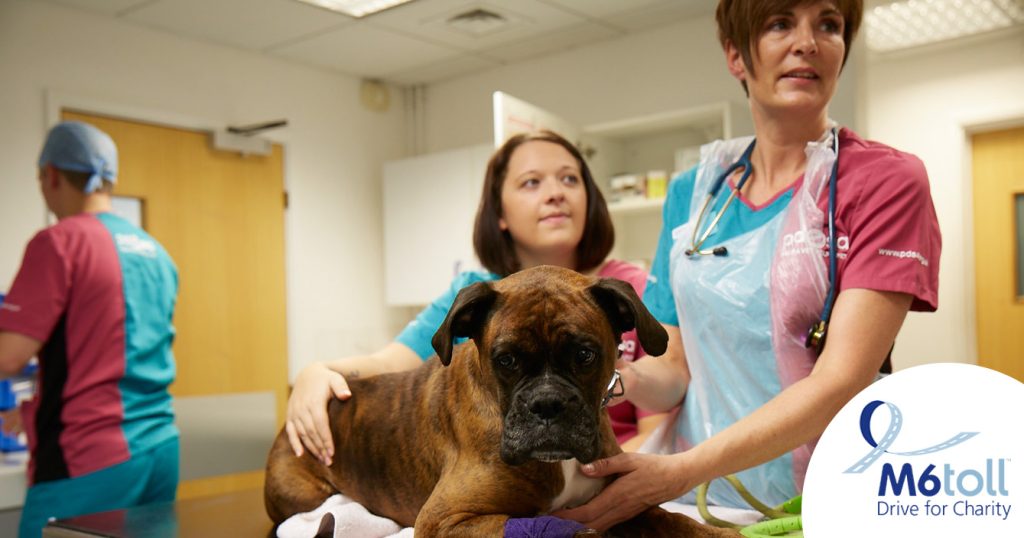 M6toll fund essential equipment to treat pets of local people in need