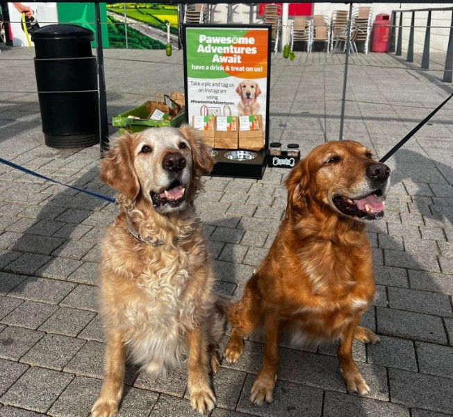 dogs roadchef