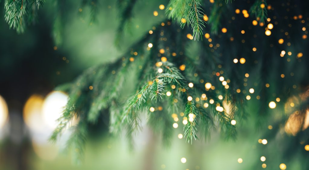 Spreading Festive Cheer: New Christmas Funding Opportunity from M6toll