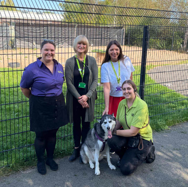 M6toll Proudly Supports Birmingham Dogs Home